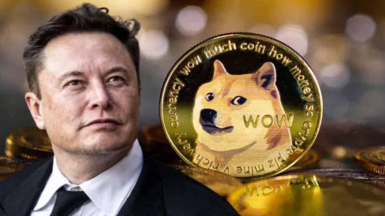 Dogecoin jumps as Musk's Twitter flips logo to Shiba Inu dog