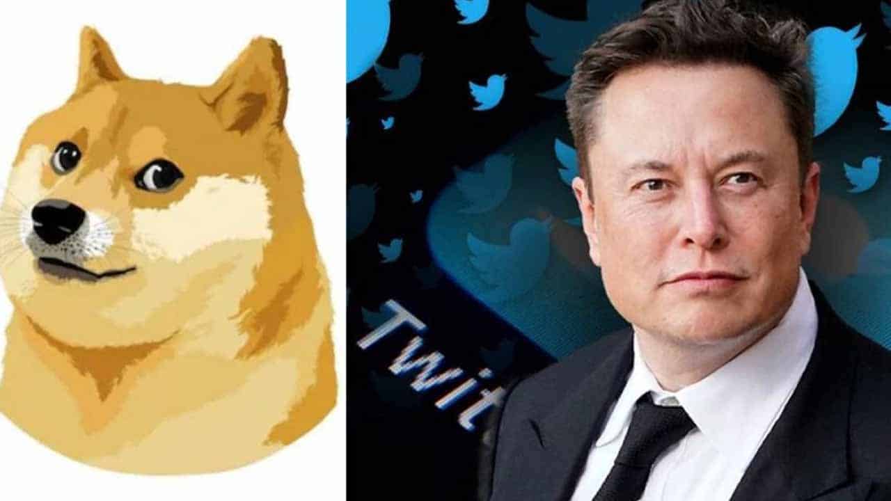Elon Musk changes Twitter's iconic bird logo with 'Doge' meme and ...