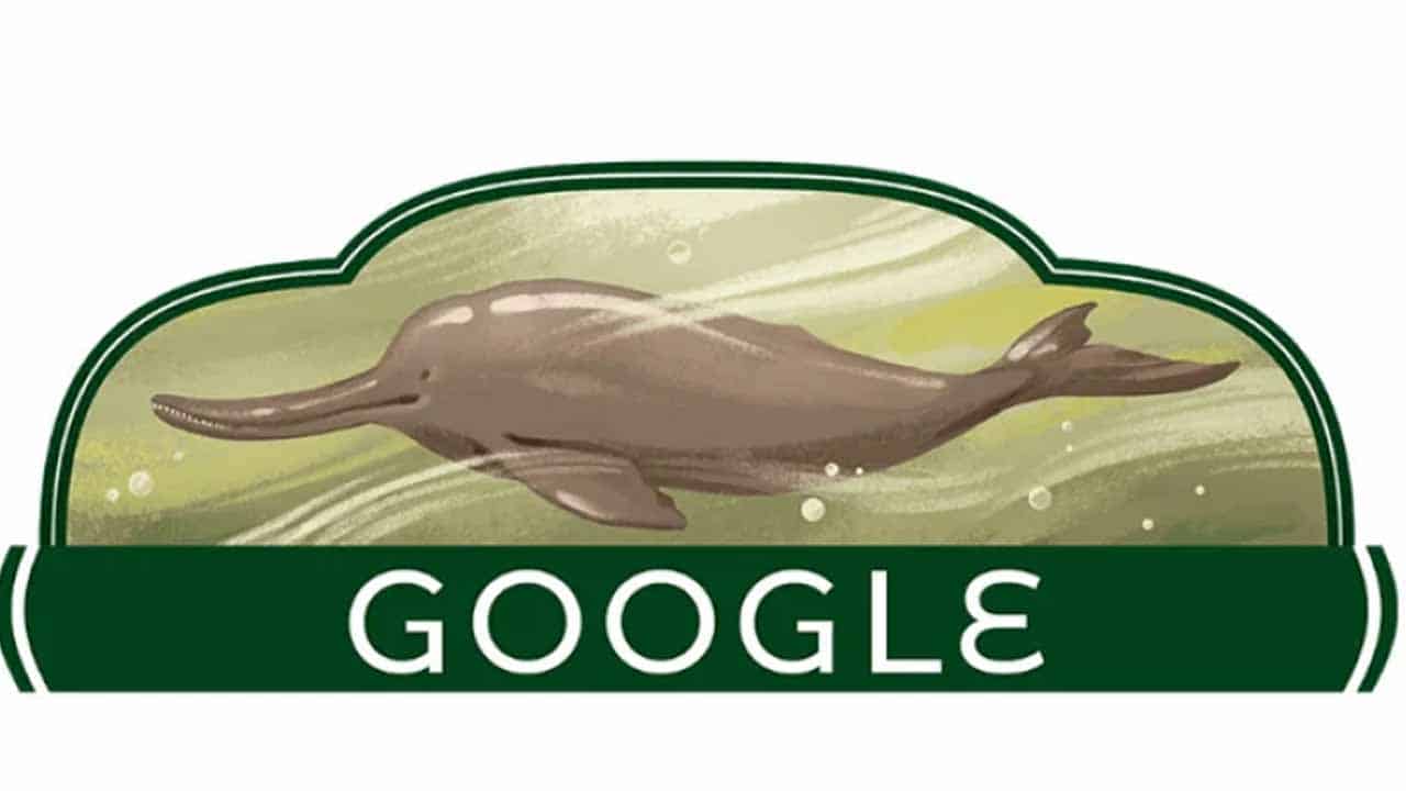Google Proud Pakistan's Indus River dolphin in Independence Day doodle