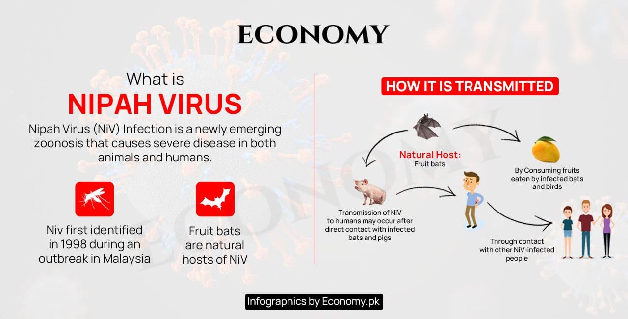 What is Nipah Virus