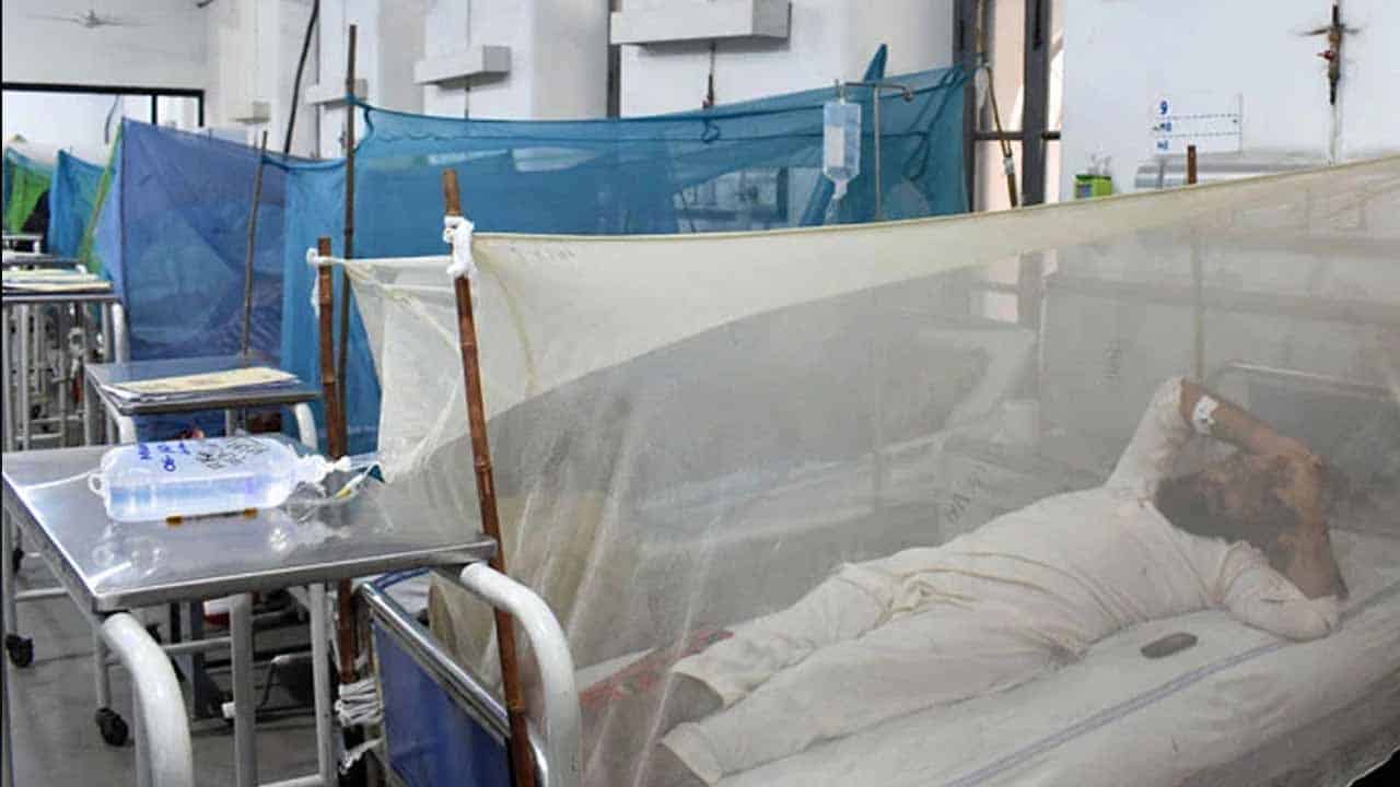 Health emergency imposed in Balochistan amid Congo virus surge