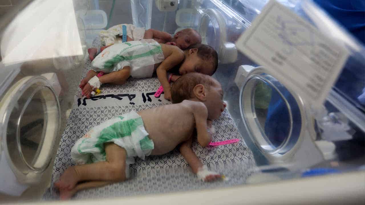 Palestinian Red Crescent and UN Agencies Safely Evacuate Premature Babies from Al Shifa