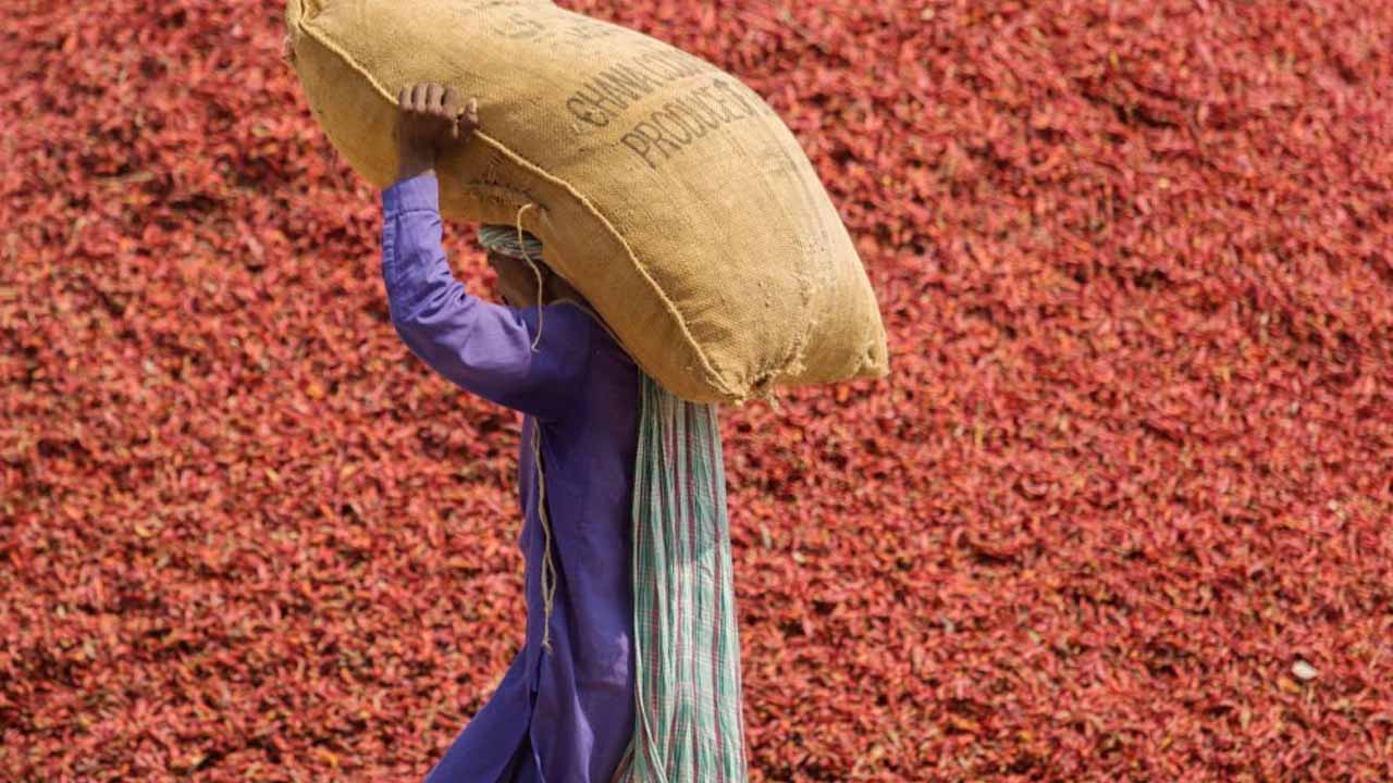 Pakistan's first shipment of dried chilies arrives in China under CPEC cooperation