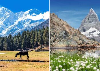 pakistan-switzerland