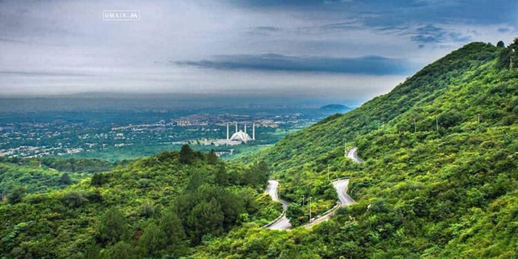 CDA plans Rs2bn project to reforest Margalla Hills