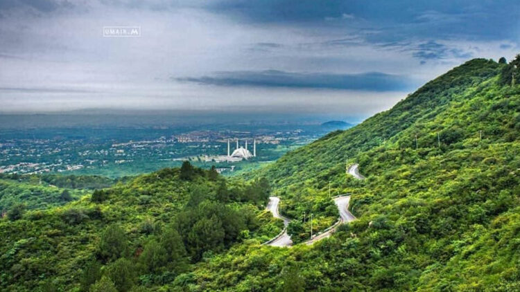 CDA plans Rs2bn project to reforest Margalla Hills