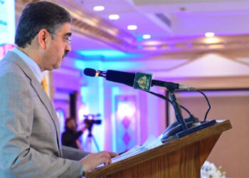Caretaker Prime Minister Anwaar-ul-Haq Kakar reiterates support to foreign investors