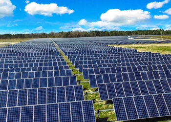 Pakistan Govt's SIFC installs 150MW solar power plant in Sukkur
