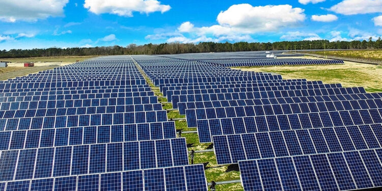 Pakistan Govt's SIFC installs 150MW solar power plant in Sukkur