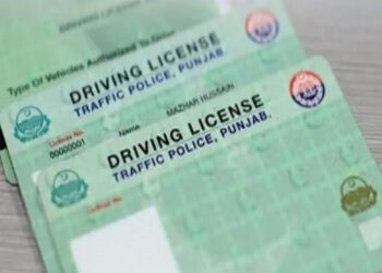 Punjab driving license annual updated fees for 2024