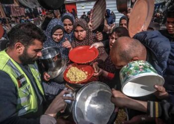 Dozens of Palestinians killed while waiting for food aid near Gaza City