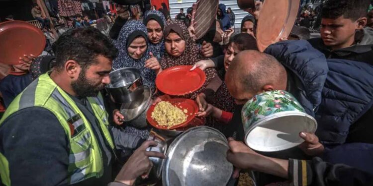 Dozens of Palestinians killed while waiting for food aid near Gaza City