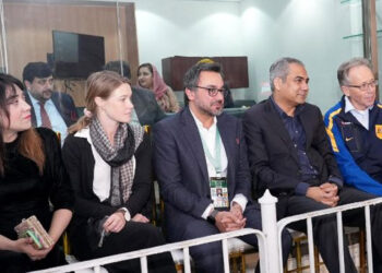 PCB Chief Mohsin Naqvi Meets Australian High Commissioner Invites Aussies for Pakistan Series