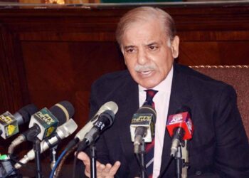Shehbaz Sharif says economic stability will be his top priority as PM