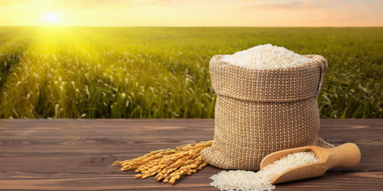 Rice valuing $2.115 bln exported, exports grew 95.26% in 07 months