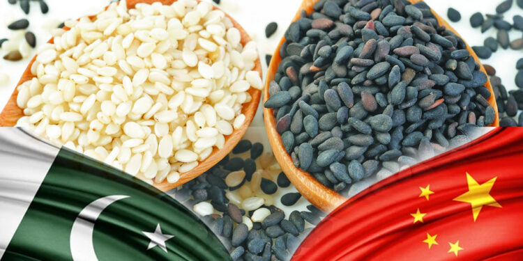 Pakistan’s sesame export to China surpasses $290 million mark in 2023