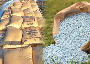 220,000 tons of imported Urea fertilizer will be provided to farmers soon: Gohar