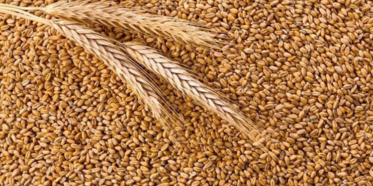 Pakistan decides to ‘ban’ import of wheat