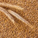 Pakistan decides to ‘ban’ import of wheat