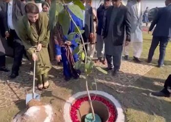 CM Punjab Maryam Nawaz Launches Massive Tree Plantation Drive on International Women’s Day