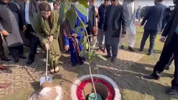 CM Punjab Maryam Nawaz Launches Massive Tree Plantation Drive on International Women’s Day