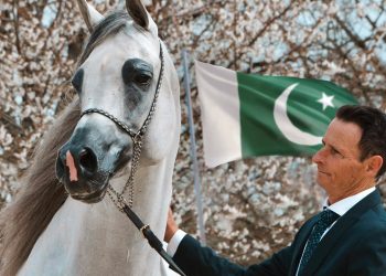 Pakistani-Owned Horse El Geronimo Wins Silver Medal at Prestigious French Arabian Horse Show