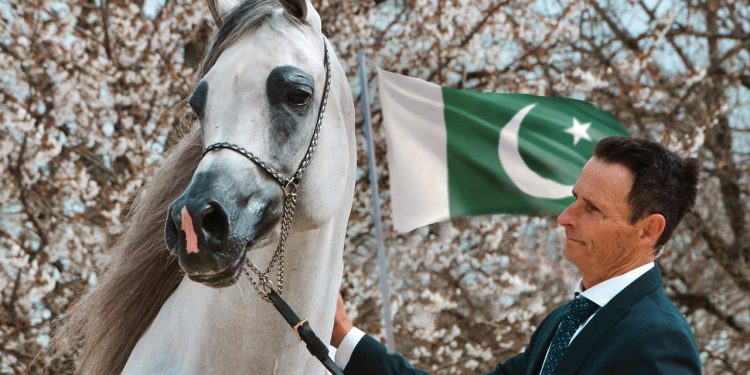 Pakistani-Owned Horse El Geronimo Wins Silver Medal at Prestigious French Arabian Horse Show