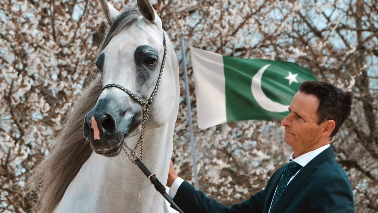 Pakistani-Owned Horse El Geronimo Wins Silver Medal at Prestigious French Arabian Horse Show