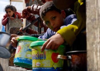 Malnutrition ‘particularly extreme’ in north Gaza, says WHO
