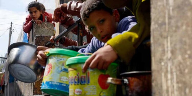 Malnutrition ‘particularly extreme’ in north Gaza, says WHO