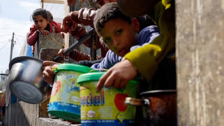 Malnutrition ‘particularly extreme’ in north Gaza, says WHO