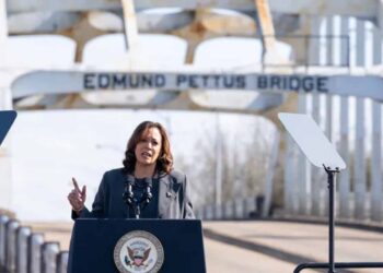 US VP Harris calls for ‘immediate’ Gaza ceasefire