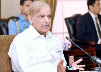 PM Shehbaz, cabinet members will not draw salaries