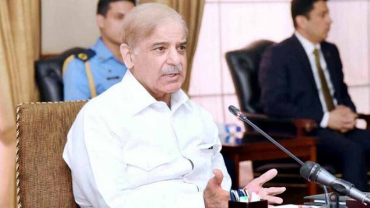 PM Shehbaz, cabinet members will not draw salaries