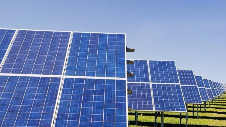 Punjab to distribute 50,000 solar kits