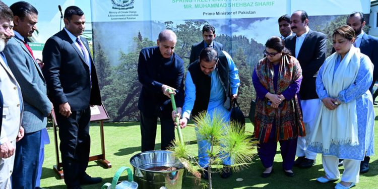 PM Shehbaz inaugurates Spring Tree Plantation Campaign