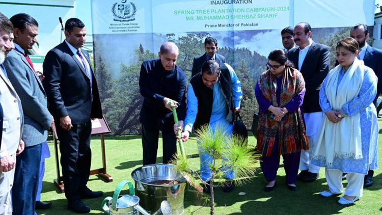 PM Shehbaz inaugurates Spring Tree Plantation Campaign