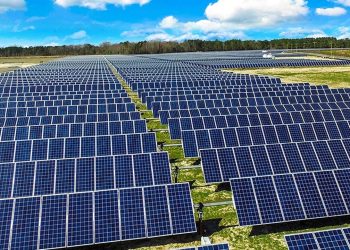 Punjab Approves Provision of 1kv Solar Kits to 50,000 Families