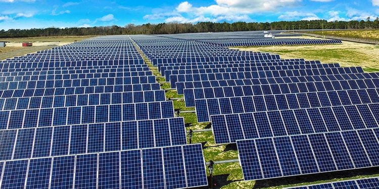 Punjab Approves Provision of 1kv Solar Kits to 50,000 Families