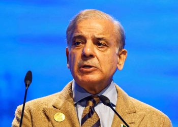 Prime Minister Urges Emphasis on Renewable Energy to Reduce Oil Imports