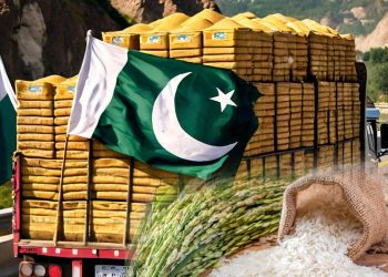 Pakistan’s Rice Exports Reach Historic High of $3 Billion