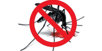 Dengue Awareness campaign launched