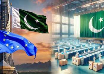 European companies show interest in investing in Pakistan's IT sector