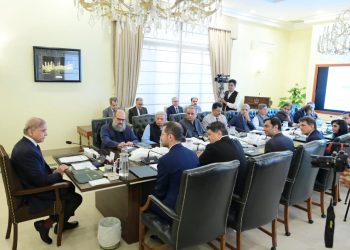 Government extends maximum support to foreign investors