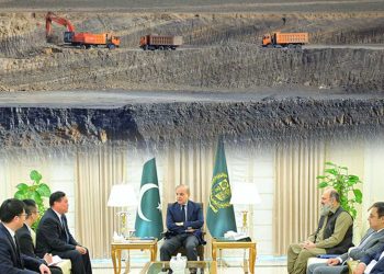 PM invites Chinese firm to invest in Pakistan mining sector seeking to boost foreign investment