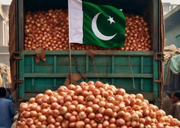 Onion export from Pakistan exceeds $210 million
