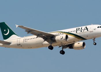 10 parties express interest in buying stakes in PIA