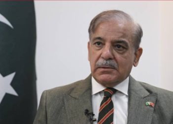 PM Shehbaz hails Ireland’s decision to recognise the state of Palestine