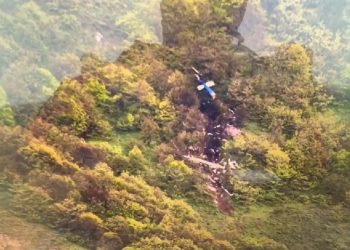 Global leaders who have died in Aircraft accidents.