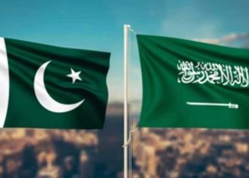 Pakistan IT exports to Saudi Arabia increase by $100m
